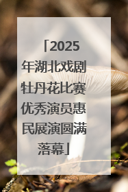 2025年湖北戏剧牡丹花比赛优秀演员惠民展演圆满落幕