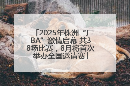 2025年株洲“厂BA”激情启幕 共38场比赛，8月将首次举办全国邀请赛
