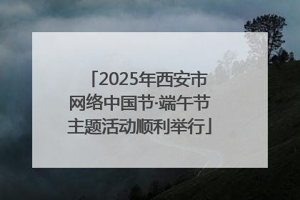 2025年西安市网络中国节·端午节主题活动顺利举行