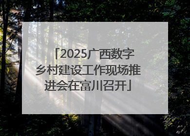 2025广西数字乡村建设工作现场推进会在富川召开