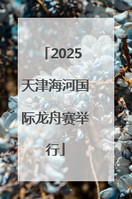 2025天津海河国际龙舟赛举行