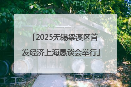 2025无锡梁溪区首发经济上海恳谈会举行
