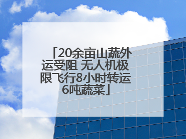 20余亩山蔬外运受阻 无人机极限飞行8小时转运6吨蔬菜