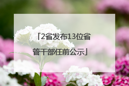 2省发布13位省管干部任前公示