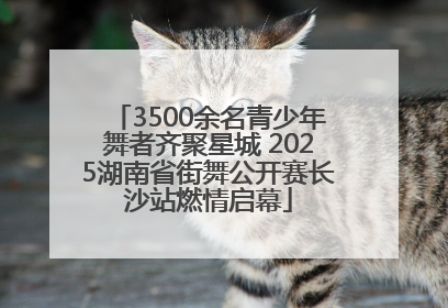 3500余名青少年舞者齐聚星城 2025湖南省街舞公开赛长沙站燃情启幕