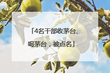 4名干部收茅台、喝茅台，被点名