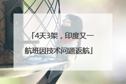 4天3架，印度又一航班因技术问题返航