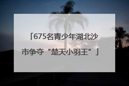 675名青少年湖北沙市争夺“楚天小羽王”