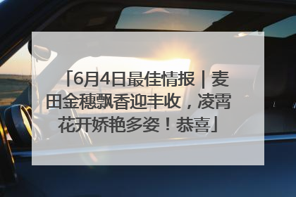 6月4日最佳情报｜麦田金穗飘香迎丰收，凌霄花开娇艳多姿！恭喜