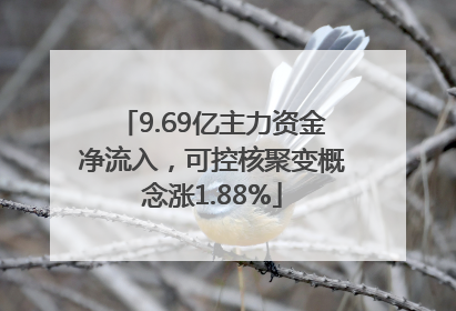 9.69亿主力资金净流入，可控核聚变概念涨1.88%
