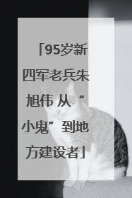 95岁新四军老兵朱旭伟 从“小鬼”到地方建设者