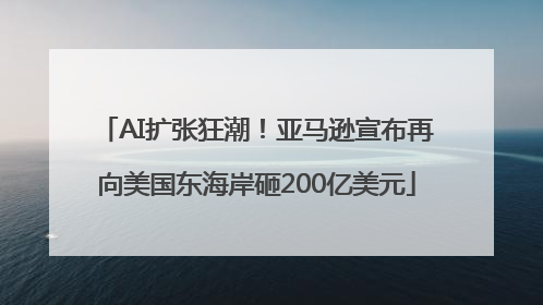 AI扩张狂潮！亚马逊宣布再向美国东海岸砸200亿美元