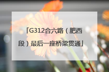 G312合六路（肥西段）最后一座桥梁贯通