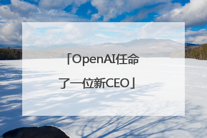 OpenAI任命了一位新CEO