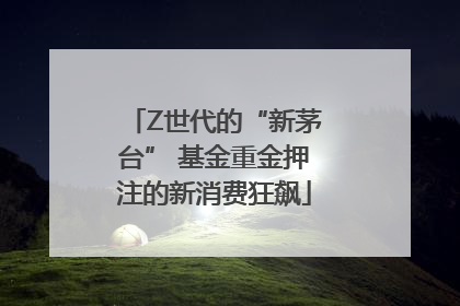 Z世代的“新茅台” 基金重金押注的新消费狂飙